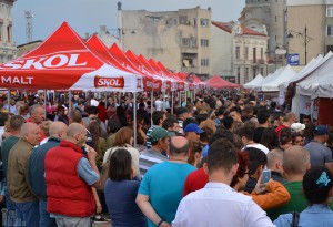 Festivalul Scoicilor - Piata Ovidiu 2016  (6)